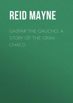 Читать Gaspar the Gaucho: A Story of the Gran Chaco - Reid Mayne
