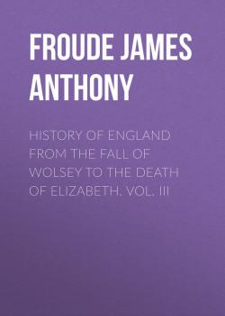 Читать History of England from the Fall of Wolsey to the Death of Elizabeth. Vol. III - Froude James Anthony