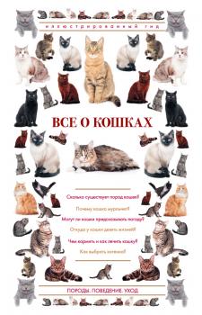 Читать Все о кошках. Иллюстрированный гид - Николай Непомнящий