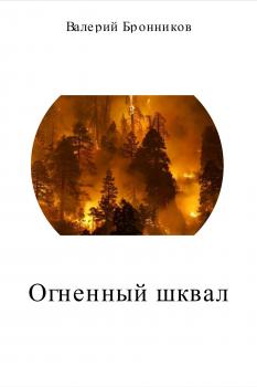 Читать Огненный шквал - Валерий Викторович Бронников