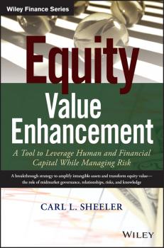 Читать Equity Value Enhancement - Sheeler Carl L.