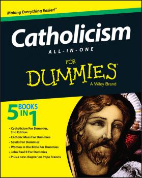 Читать Catholicism All-In-One For Dummies - Consumer Dummies