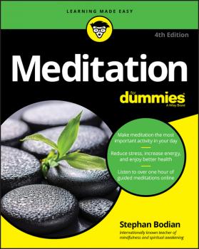 Читать Meditation For Dummies - Stephan  Bodian