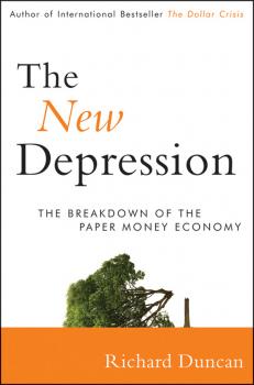 Читать The New Depression. The Breakdown of the Paper Money Economy - Richard  Duncan