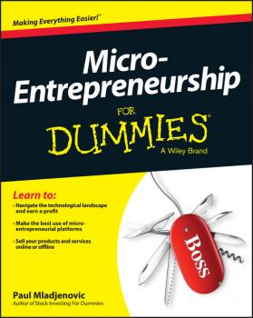 Читать Micro-Entrepreneurship For Dummies - Paul  Mladjenovic