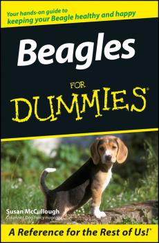 Читать Beagles For Dummies - Susan  McCullough
