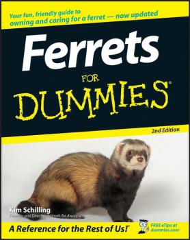 Читать Ferrets For Dummies - Kim  Schilling