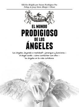 Читать El mundo prodigioso de los ángeles - Susana Rodriguez