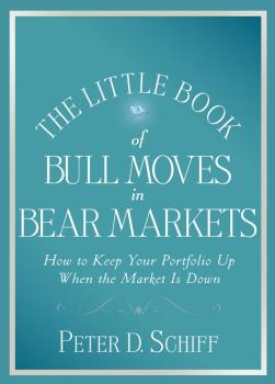 Читать The Little Book of Bull Moves in Bear Markets. How to Keep Your Portfolio Up When the Market is Down - Peter D. Schiff