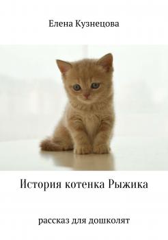 Читать История котенка Рыжика - Елена Алексеевна Кузнецова
