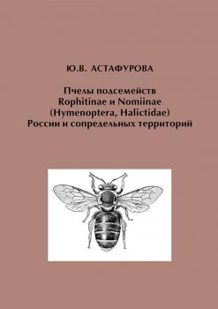 Читать Пчелы подсемейств Rophitinae и Nomiinae (Hymenoptera, Halictidae) России и сопредельных территорий - Ю. В. Астафурова