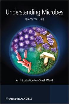 Читать Understanding Microbes. An Introduction to a Small World - Jeremy Dale W.