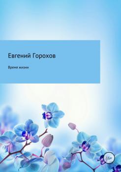 Читать Время жизни - Евгений Петрович Горохов
