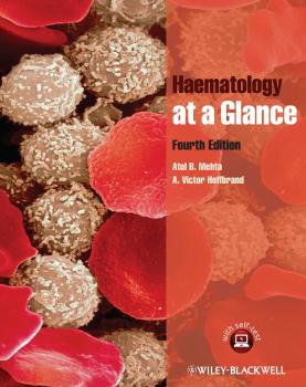 Читать Haematology at a Glance - Hoffbrand A. Victor