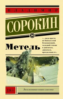 Читать Метель - Владимир Сорокин