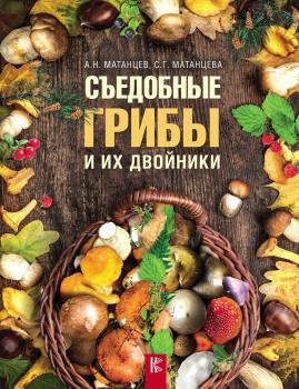 Читать Съедобные грибы и их двойники - Александр Матанцев