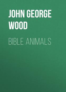 Читать Bible Animals - John George Wood