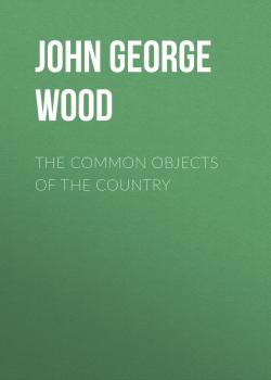 Читать The Common Objects of the Country - John George Wood