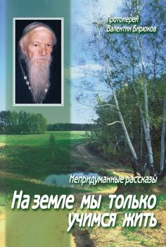 Читать На земле мы только учимся жить - Протоиерей Валентин Бирюков