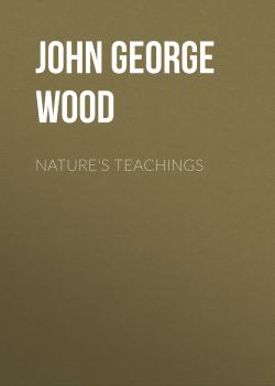 Читать Nature's Teachings - John George Wood