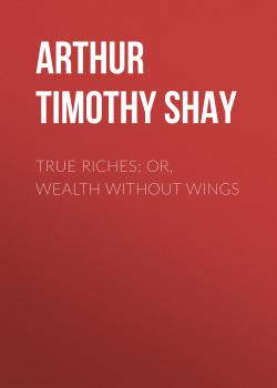 Читать True Riches; Or, Wealth Without Wings - Arthur Timothy Shay