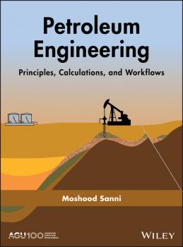 Читать Petroleum Engineering: Principles, Calculations, and Workflows - Moshood  Sanni