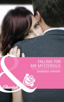 Читать Falling for Mr. Mysterious - Barbara Hannay