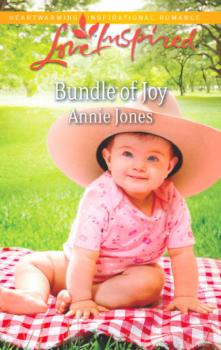 Читать Bundle of Joy - Annie  Jones