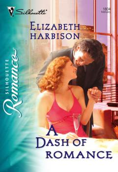 Читать A Dash of Romance - Elizabeth  Harbison