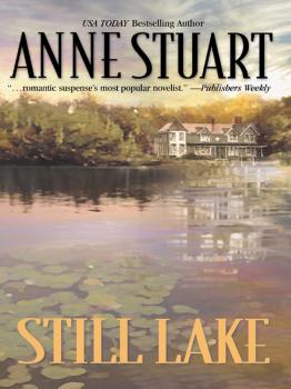 Читать Still Lake - Anne Stuart