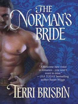 Читать The Norman's Bride - Terri  Brisbin