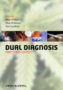 Читать Dual Diagnosis. Practice in Context - Peter  Phillips
