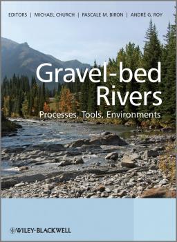 Читать Gravel Bed Rivers. Processes, Tools, Environments - Andre  Roy