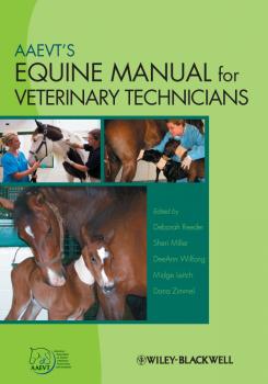 Читать AAEVT's Equine Manual for Veterinary Technicians - Deborah  Reeder