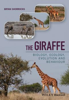 Читать The Giraffe. Biology, Ecology, Evolution and Behaviour - Bryan  Shorrocks