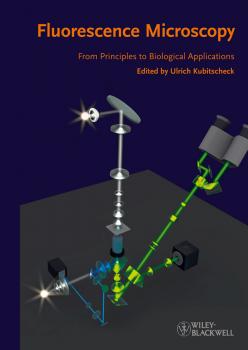 Читать Fluorescence Microscopy. From Principles to Biological Applications - Ulrich  Kubitscheck