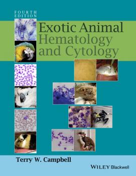Читать Exotic Animal Hematology and Cytology - Terry  Campbell