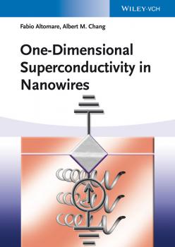 Читать One-Dimensional Superconductivity in Nanowires - Fabio  Altomare