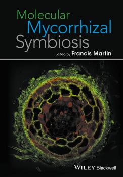 Читать Molecular Mycorrhizal Symbiosis - Francis  Martin