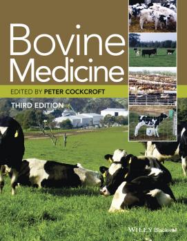 Читать Bovine Medicine - Peter  Cockcroft