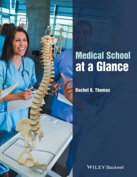Читать Medical School at a Glance - Rachel Thomas K.