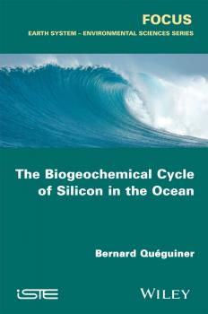 Читать The Biogeochemical Cycle of Silicon in the Ocean - Bernard Quéguiner