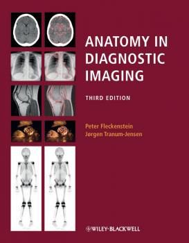 Читать Anatomy in Diagnostic Imaging - Peter  Fleckenstein