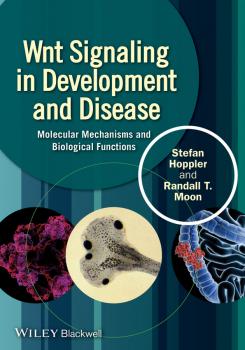 Читать Wnt Signaling in Development and Disease. Molecular Mechanisms and Biological Functions - Randall Moon T.
