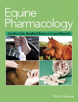Читать Equine Pharmacology - Cynthia  Cole