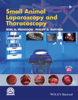Читать Small Animal Laparoscopy and Thoracoscopy - Boel Fransson A.