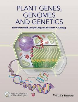 Читать Plant Genes, Genomes and Genetics - Erich  Grotewold