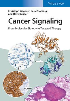 Читать Cancer Signaling, Enhanced Edition. From Molecular Biology to Targeted Therapy - Oliver  Muller