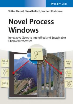 Читать Novel Process Windows. Innovative Gates to Intensified and Sustainable Chemical Processes - Volker  Hessel