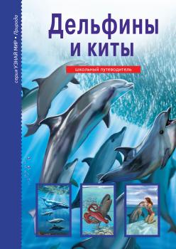 Читать Дельфины и киты - Юлия Дунаева